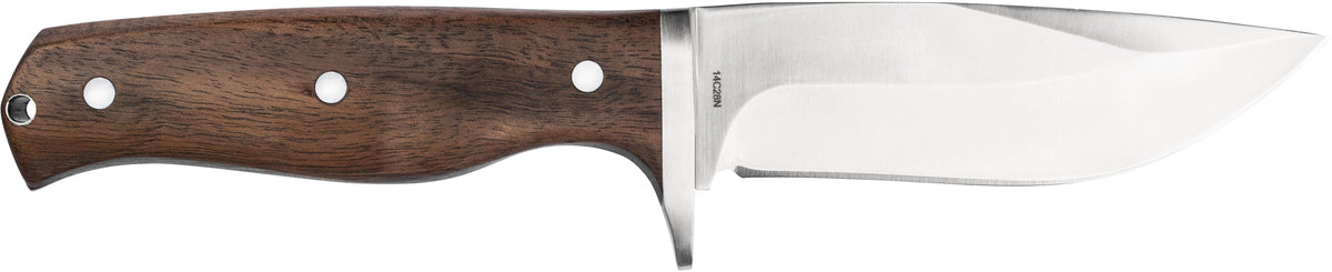 Walnut Drop