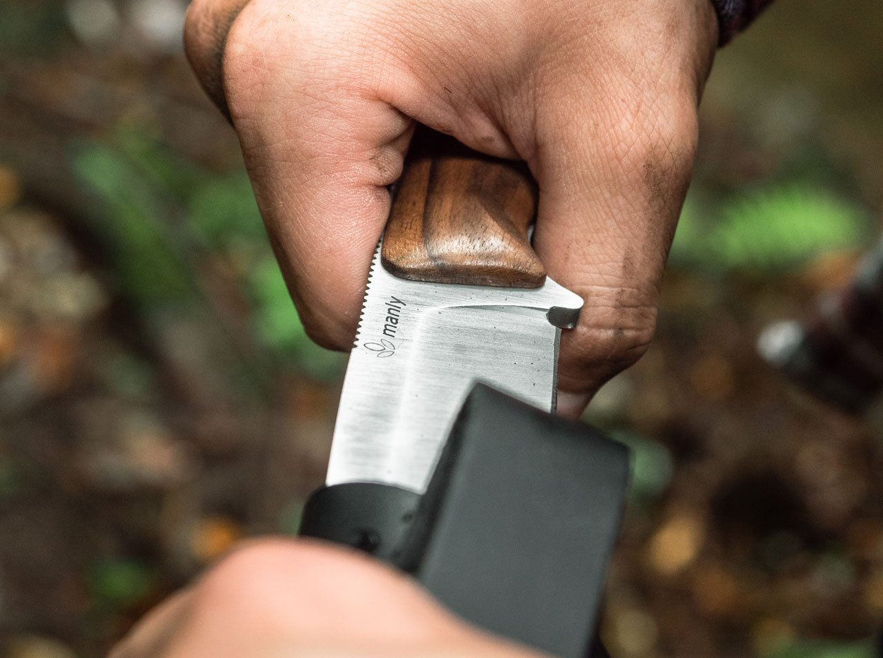 Blaze D2 Walnut