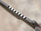 SXB