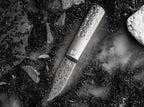 BRLW Meteoritendamast
