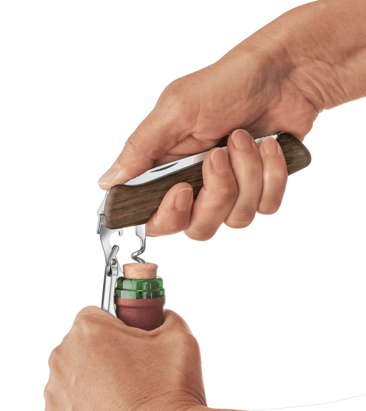 Wine Master Wood