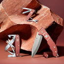 Evoke Alox Limited Edition 2025