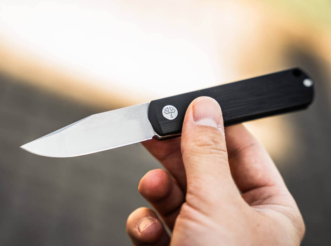 BRLW G10