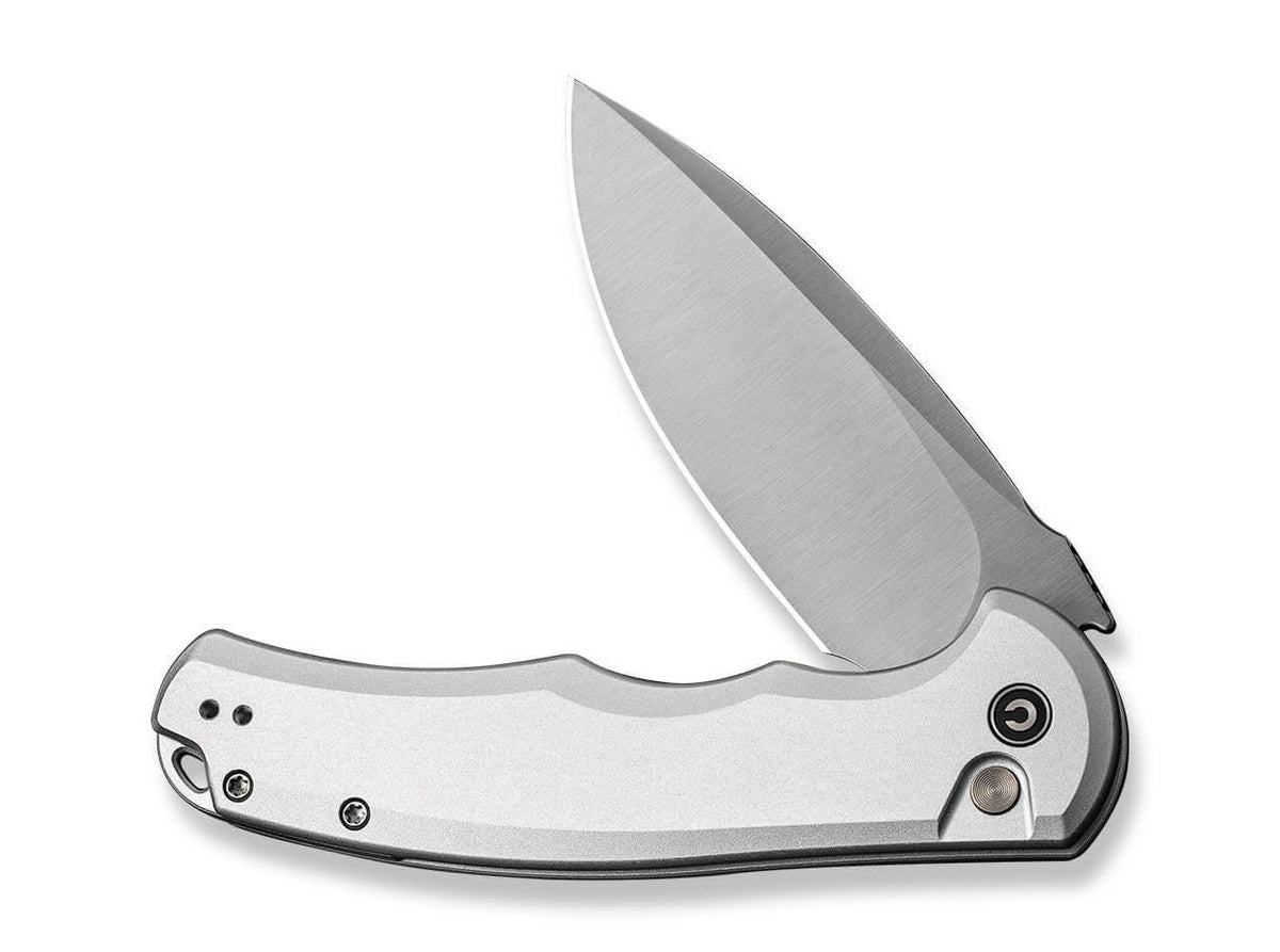 Button Lock Praxis Aluminum Silver