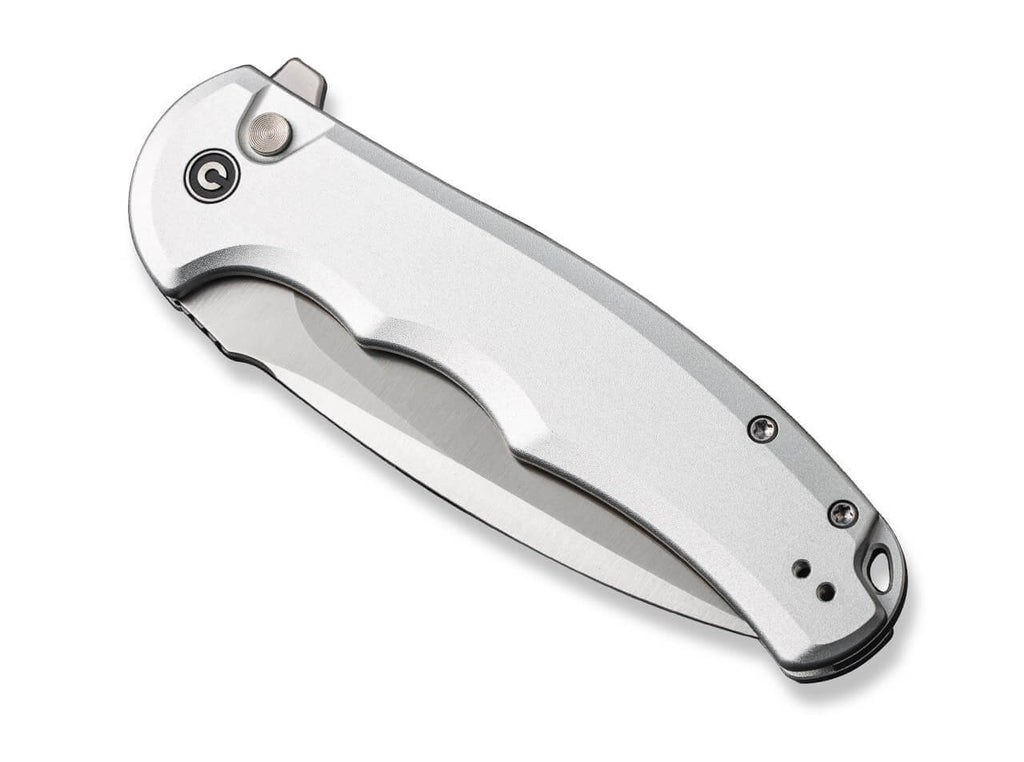 Button Lock Praxis Aluminum Silver