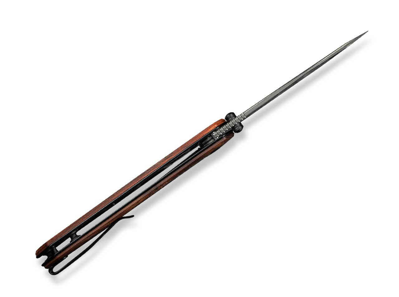 Tacticorix Damascus Guibourtia