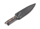 Condor Patagon