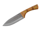 Pictus