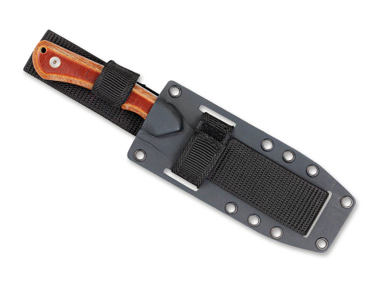 Sport Stinger Knife