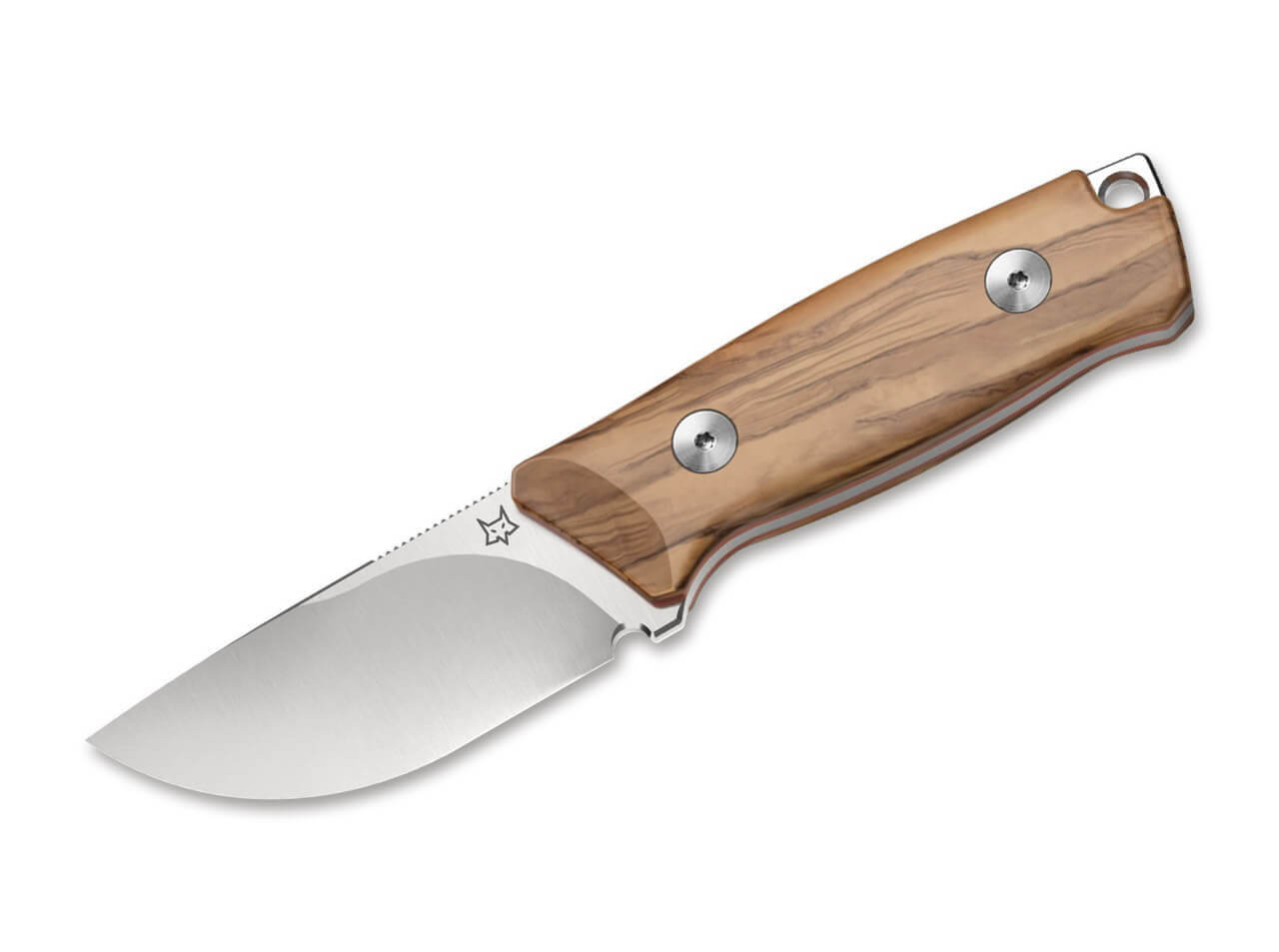 Muzzle Olive Wood