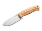 M2M Olive Wood