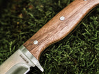 Walnut Drop