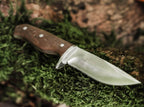 Walnut Drop