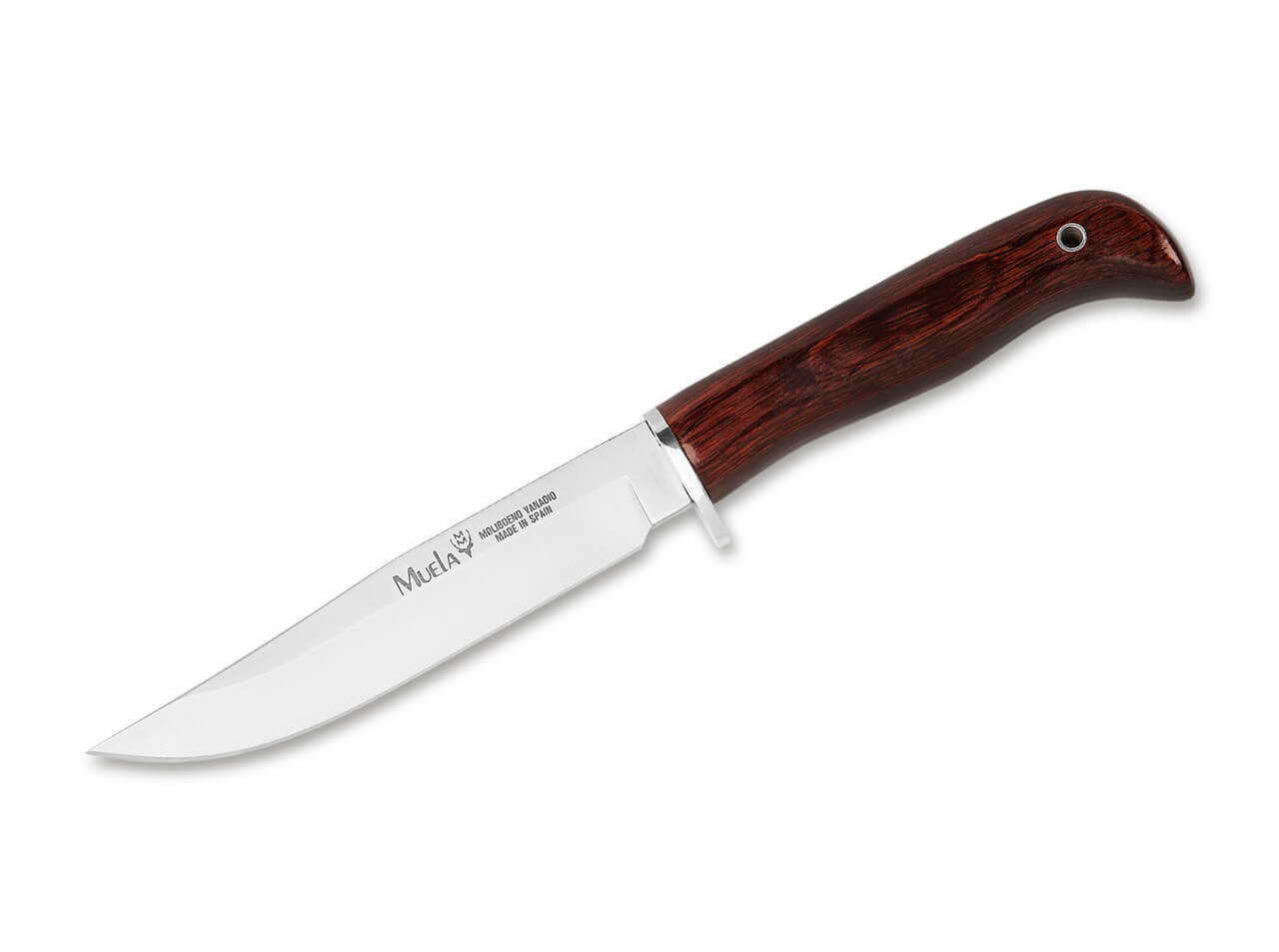 Muela Gred 13R Coral Wood