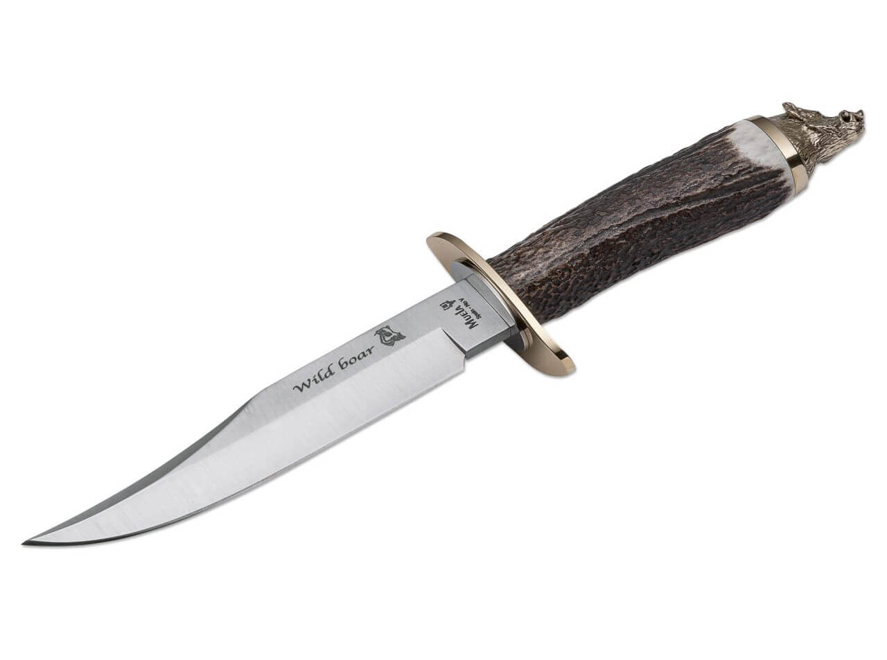 Wildboar Hirschhorn