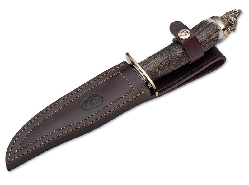 Muela Wildboar Hirschhorn