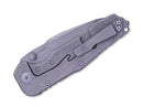 Real Steel Evolution Titanium Grey Tanto SW