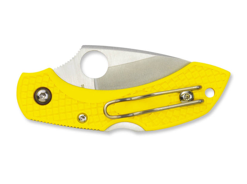 Spyderco Dragonfly 2 Salt Serrated