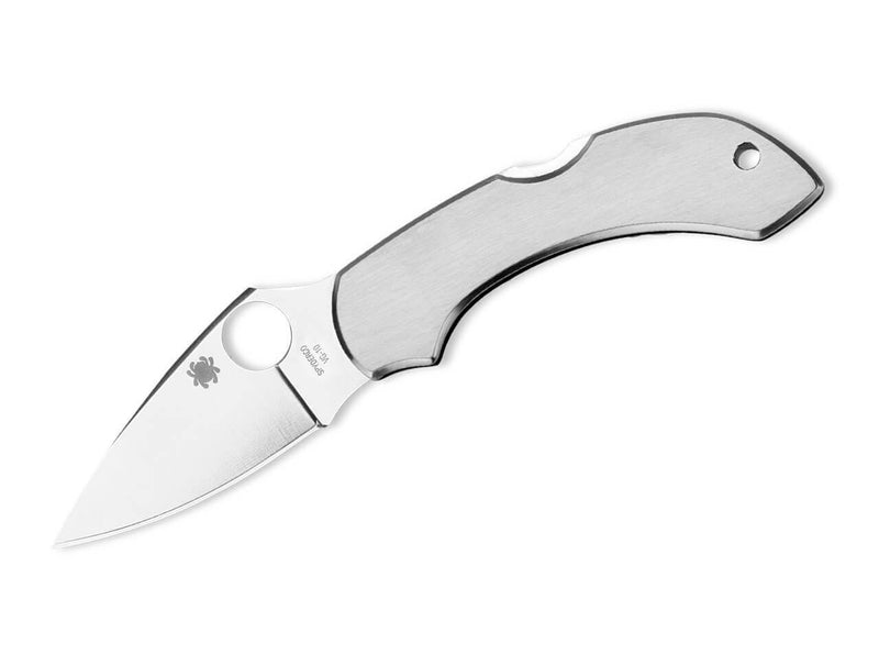 Spyderco Dragonfly Stainless Steel Plain