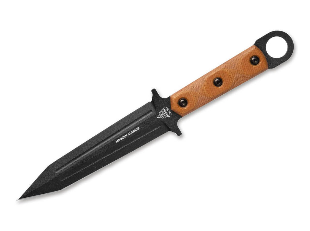 Modern Gladius