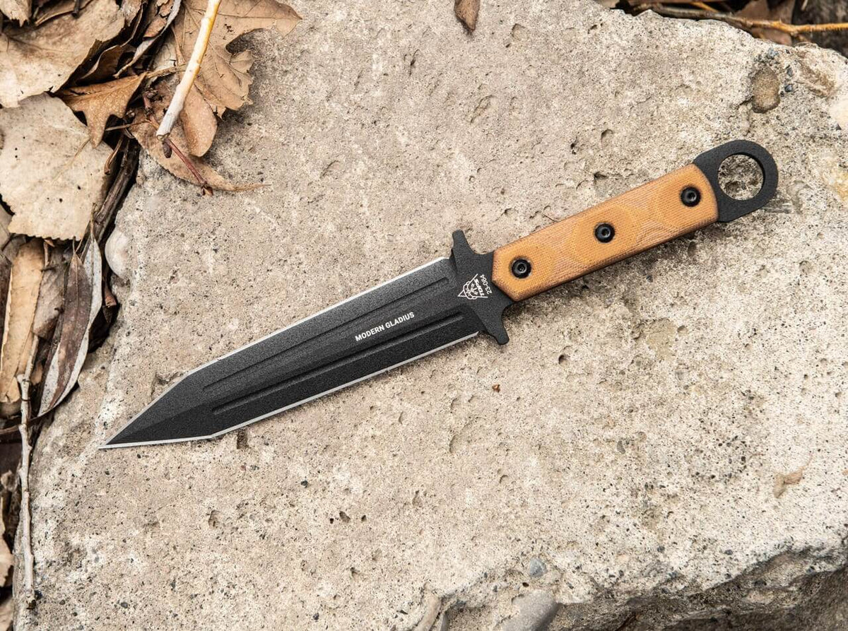 Modern Gladius