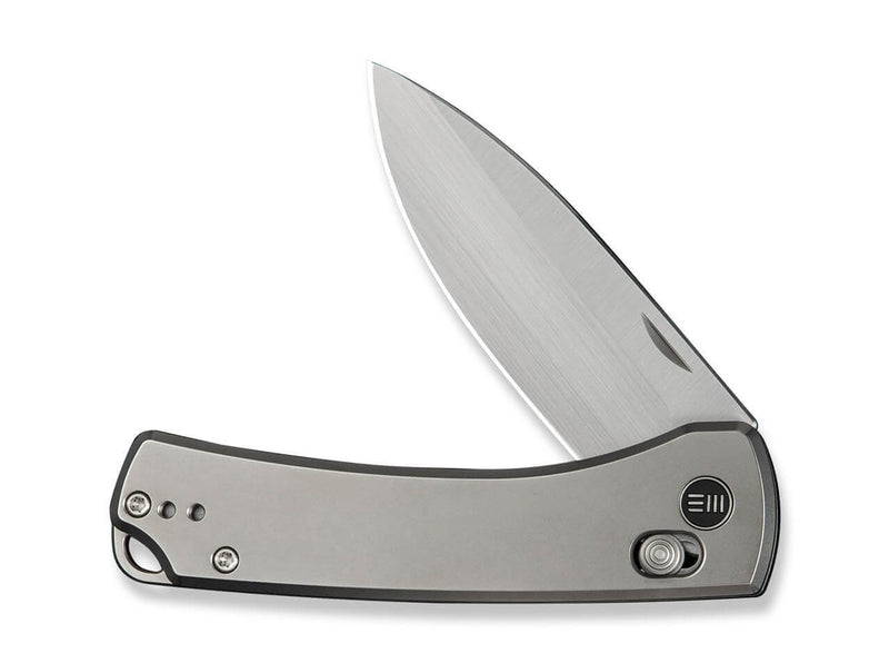 WE Knife Nightblade 20CV Titanium Gray