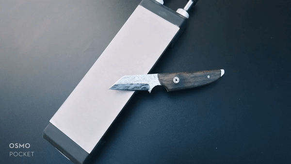SimplyShark Diamant Schleifplatte