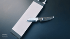 SimplyShark Diamant Schleifplatte