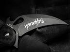 Folding Karambit