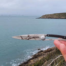 Deejo 37g, Ebenholz / Hai