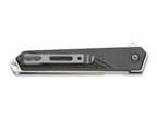 Japanese Iris