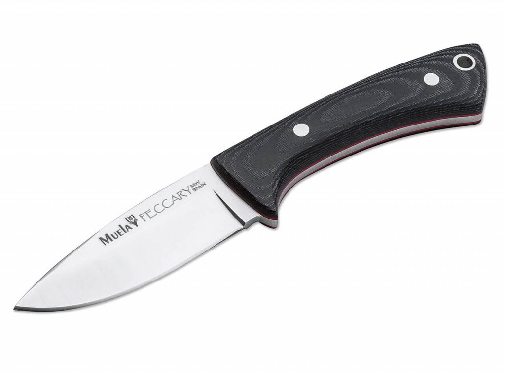 Peccary Black