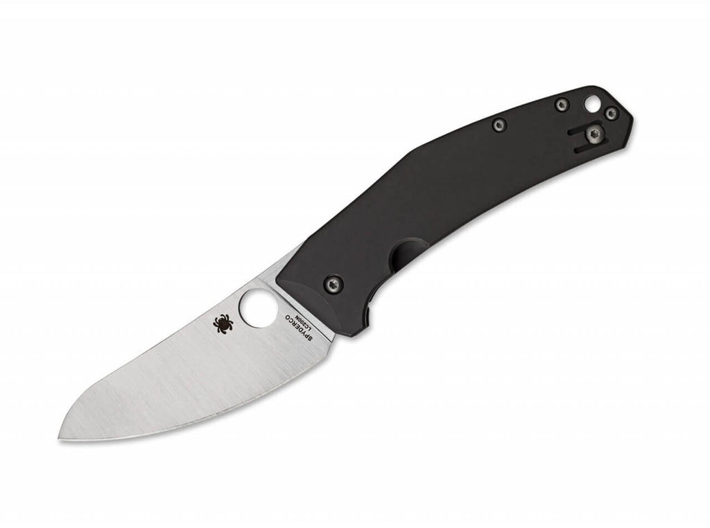 SpydieChef